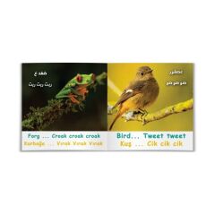 Hayvan Sesleri  | حيوانات وأصوات
