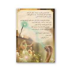 أمم أمثالــــــكم